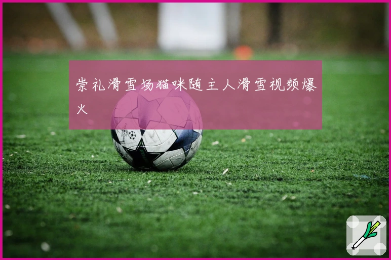 崇礼滑雪场猫咪随主人滑雪视频爆火