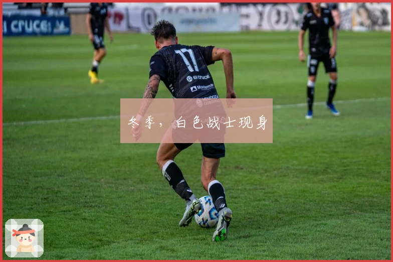 冬季，白色战士现身